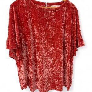 LOFT Women's Rich Red Velvet Blouse